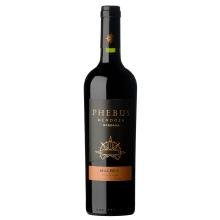 Vinho Tinto Argentino Phebus Reserva Malbec