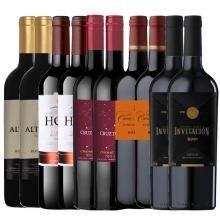 Kit 10 Vinhos Tintos Premium 